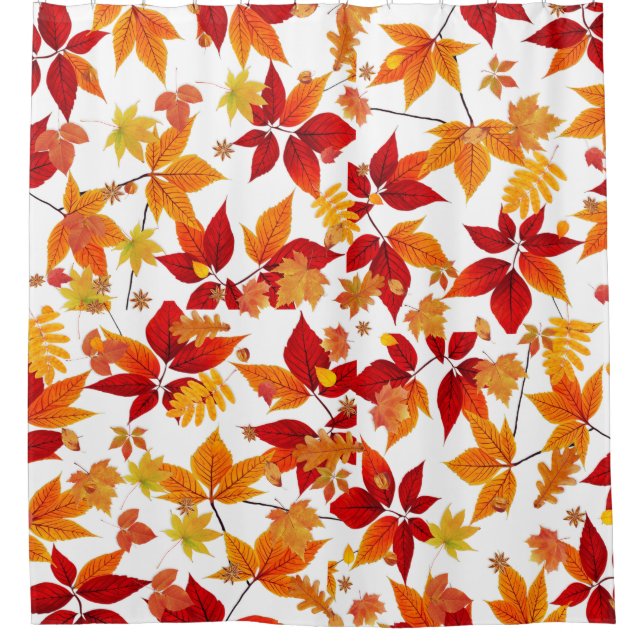 Autumn Midnight  (Front)