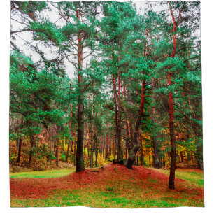 Autumn mixed forest