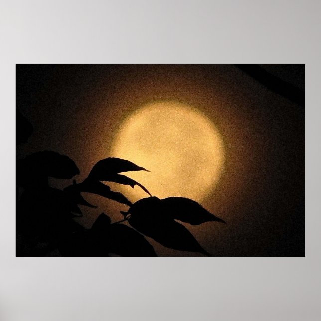 Autumn Moon Poster (Front)