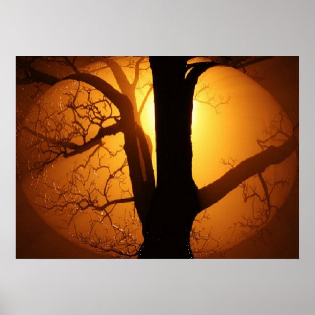 Autumn Moon Shining Through the Tree Print (Front)