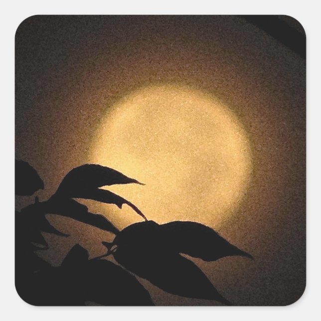 Autumn Moon Square Sticker (Front)