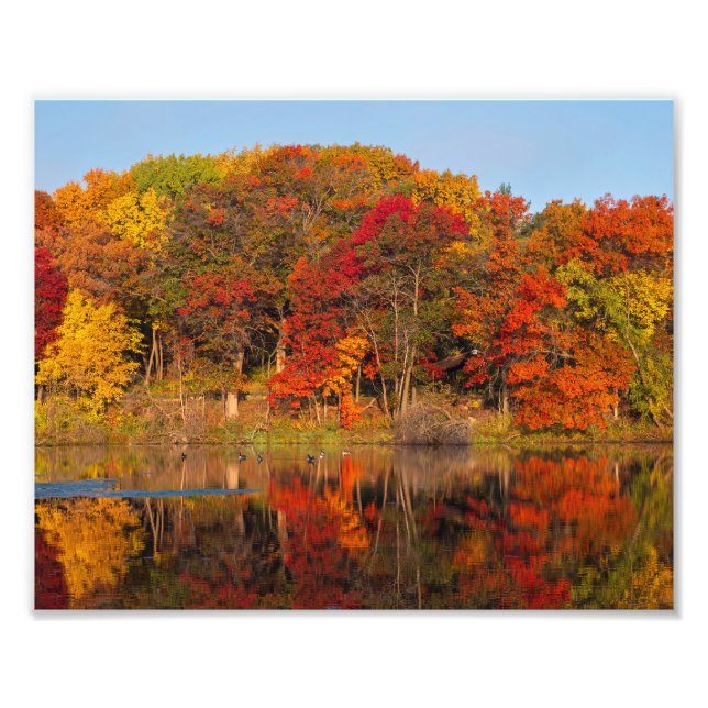 autumn morning at marthaler park and pond  photo print (Front)