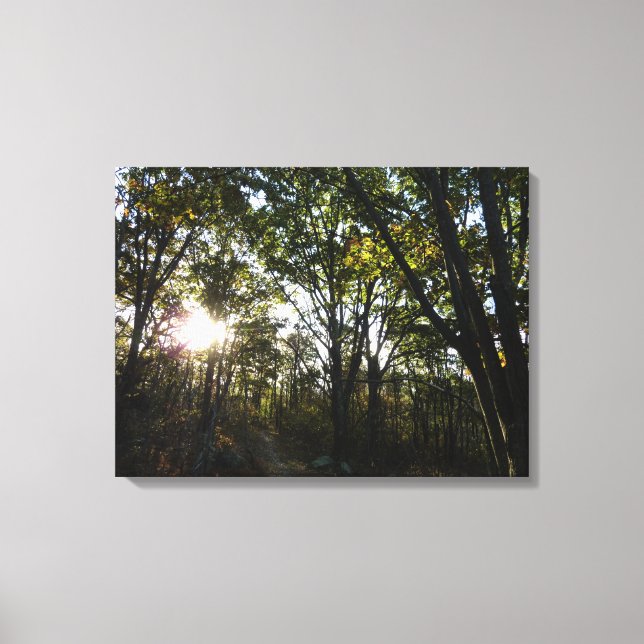 Autumn Morning at Shenandoah National Park Canvas Print (Front)