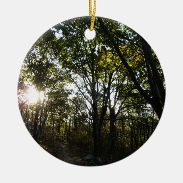 Autumn Morning at Shenandoah National Park Ceramic Ornament (Front)