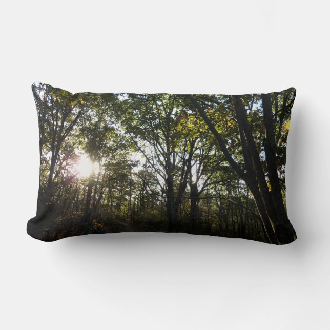 Autumn Morning at Shenandoah National Park Lumbar Pillow (Front)