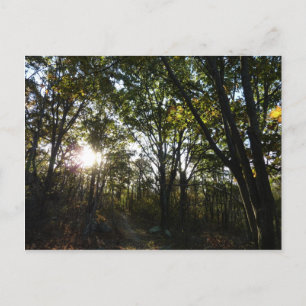 Autumn Morning at Shenandoah National Park Postcard