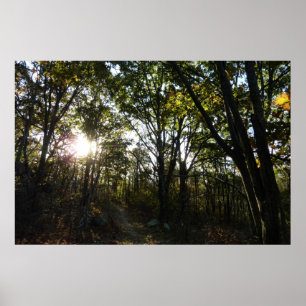 Autumn Morning at Shenandoah National Park Poster