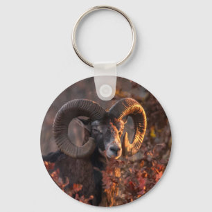 Autumn Mouflon Ram Original Wildlife Photography Keychain