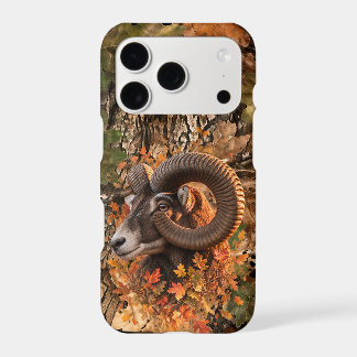 Autumn Mouflon Ram Wildlife