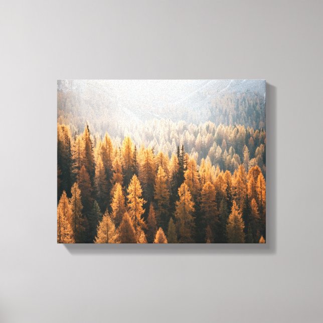 Autumn Mountain View With Yellow Larches Canvas Print (Front)