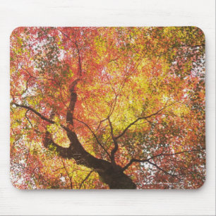 Autumn Mouse Pad