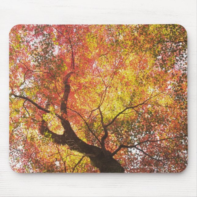 Autumn Mouse Pad (Front)
