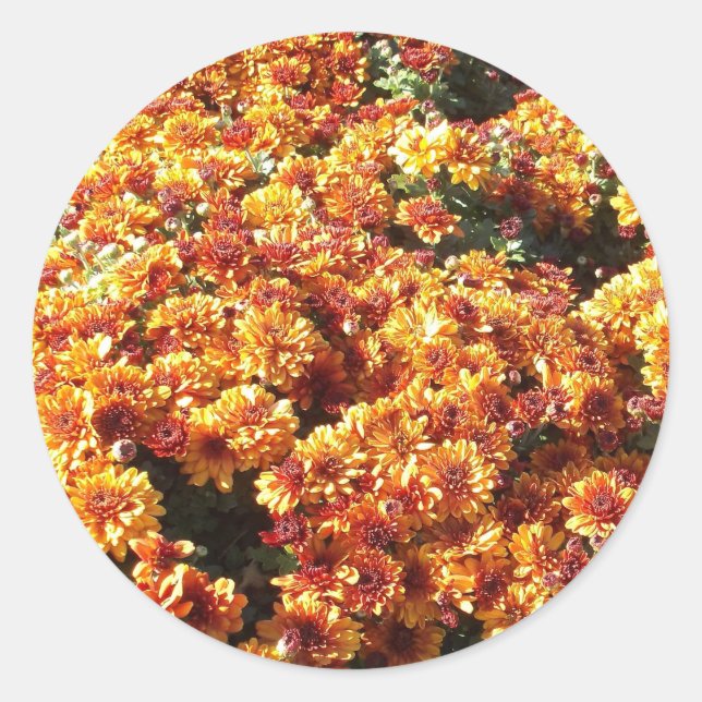 Autumn Mums Classic Round Sticker (Front)