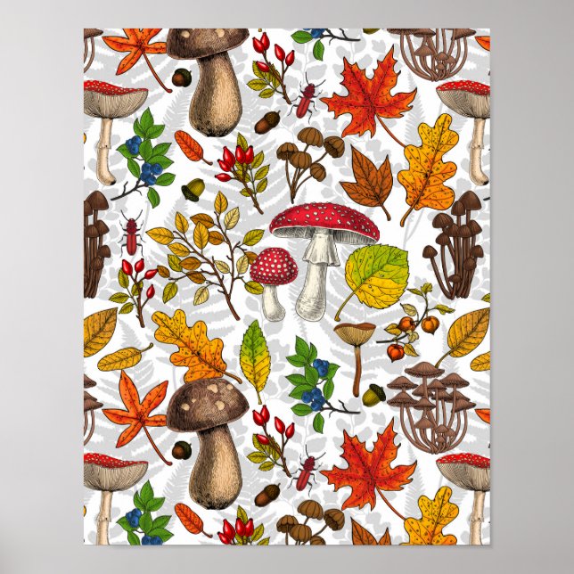 Autumn mushrooms, leaves, nuts and berries on whit poster (Front)