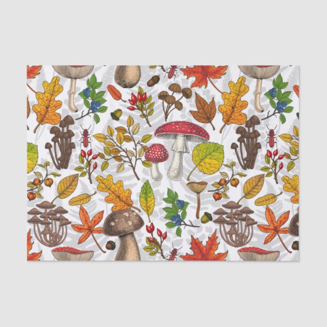 Autumn mushrooms, leaves, nuts and berries on whit tissue paper (Front)