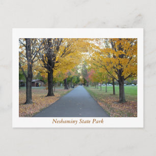 Autumn Neshaminy State Park Postcard