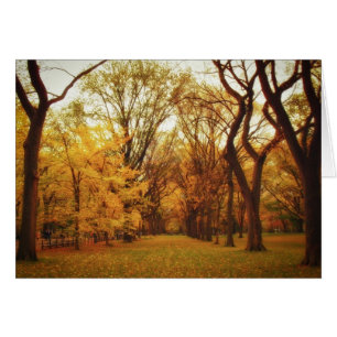 Autumn - New York City