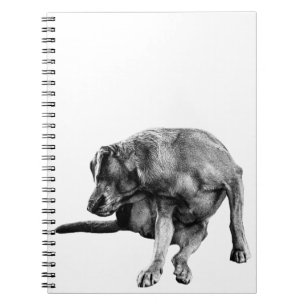 Autumn Notes with Playful Pup Notebook
