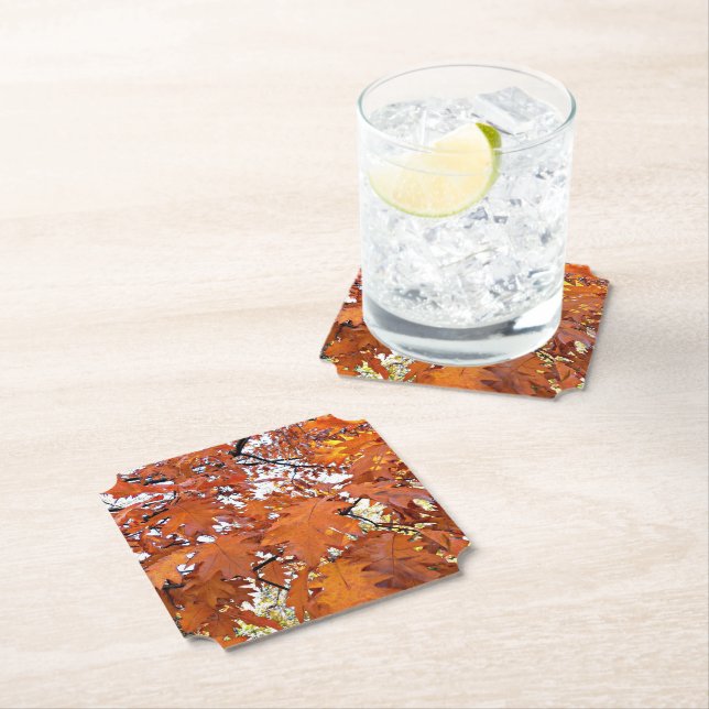 Autumn Oak Leaves Floral Paper Coaster (Insitu)