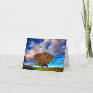 Autumn Oak Tree in Wales - blank note card