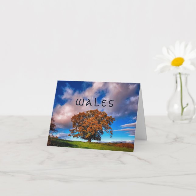 Autumn Oak Tree in Wales - blank note card (Small Plant)