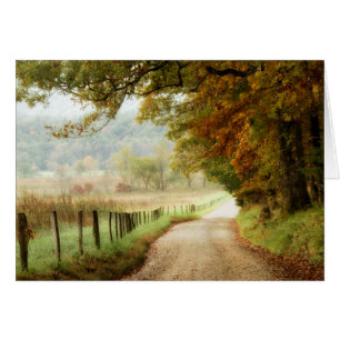 Autumn on a Country Road