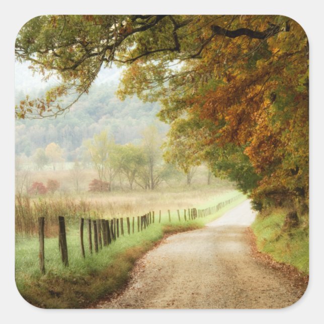 Autumn on a Country Road Square Sticker (Front)
