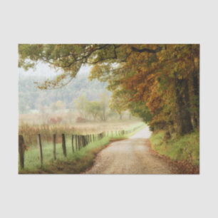 Autumn on a Country Road Tissue Paper