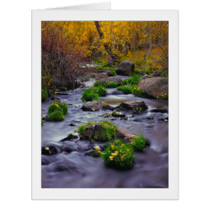 "Autumn On Mill Creek"