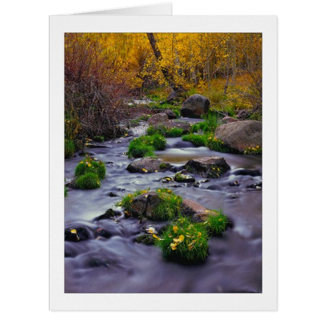 "Autumn On Mill Creek" (Front)