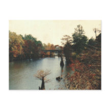 Autumn on the Water - Postcard