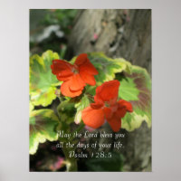 Autumn Orange Geraniums ~ Psalm 128:5