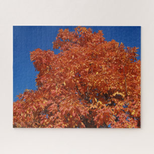 Autumn Orange Tree foliage Puzzle
