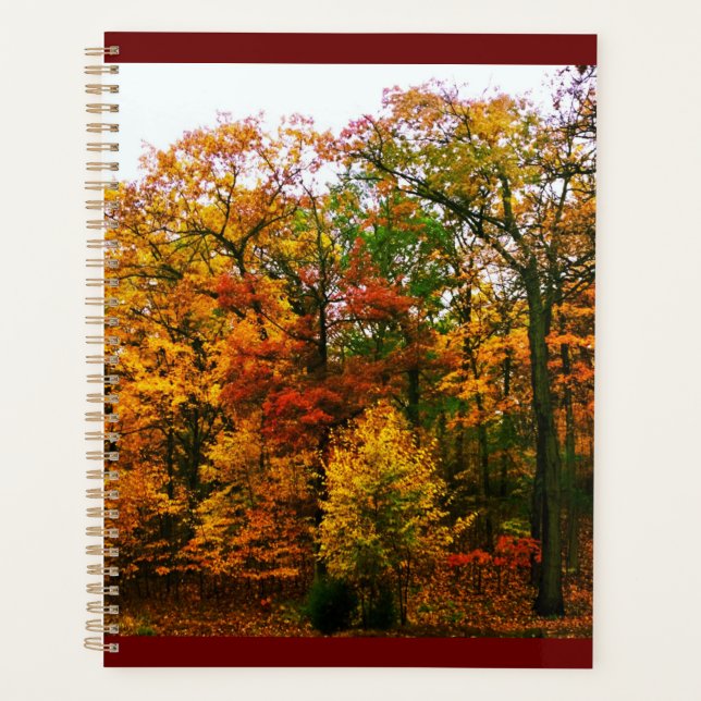Autumn Orange Trees Planner (Front)