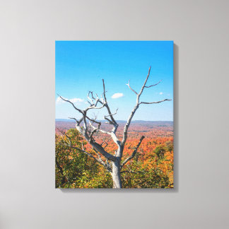 Autumn Overlook at Mount Bohemia Canvas Print