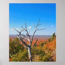 Autumn Overlook at Mount Bohemia