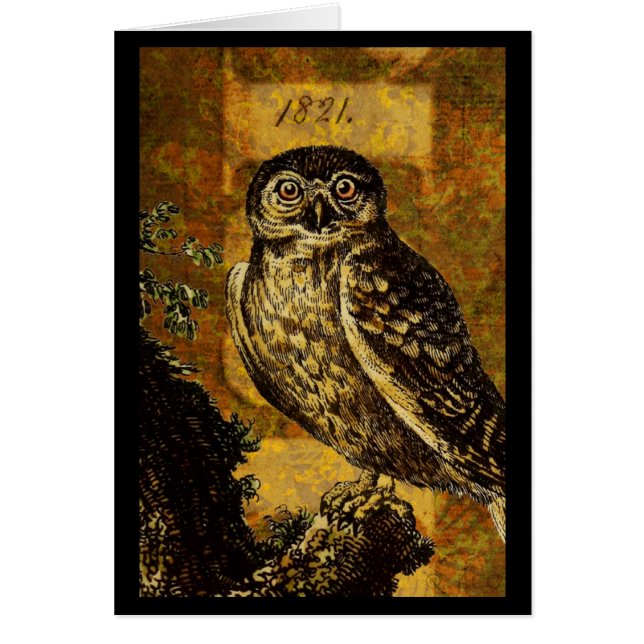 Autumn Owl (Front)