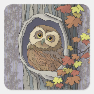 Autumn Owl and Fall Colours    Square Sticker