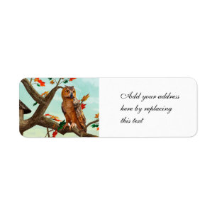 Autumn Owl Maple Tree Wildlife Art