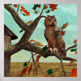 Autumn Owl Poster