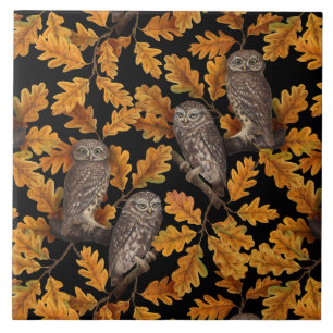 Autumn owls on black tile
