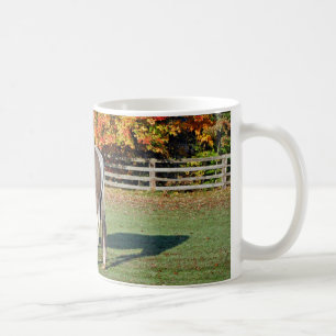 autumn Paint Horse in pasture Coffee Mug