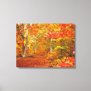 "AUTUMN PALETTE"/LEAF-STREWN PATH THROUGH FALL FOL CANVAS PRINT