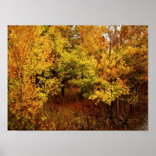 Autumn Palette Poster/Print Poster