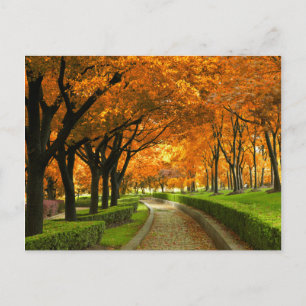 Autumn Park Postcard
