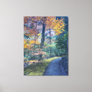 Autumn Path in Forest Canvas Print