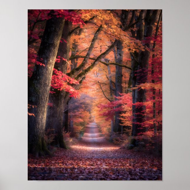 Autumn Path in Vermont Forest Poster (Front)