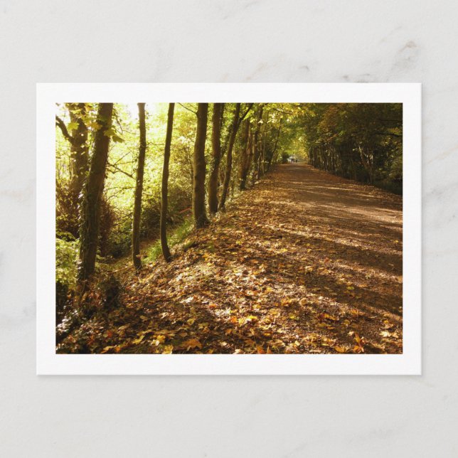 Autumn Path: Keswick Postcard (Front)