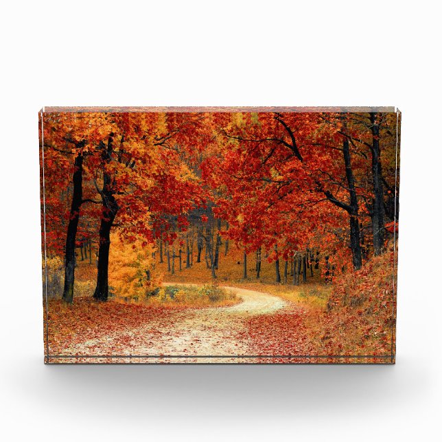 Autumn Path Through the Trees Photo Block (Front)