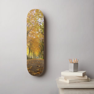 Autumn path with yellow trees and fallen leaves skateboard